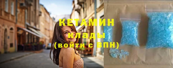 крисы Алексин