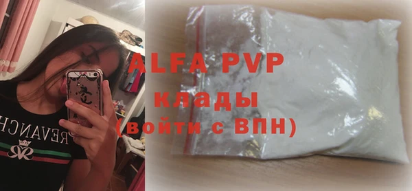 прущие грибы Осташков