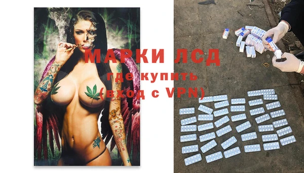 крисы Алексин