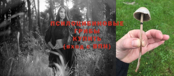 крисы Алексин