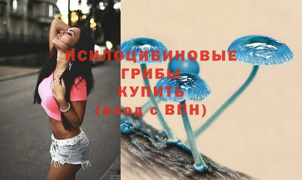 крисы Алексин