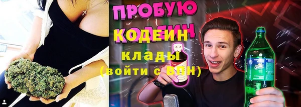 эйфоретик Алзамай