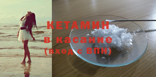прущие грибы Осташков